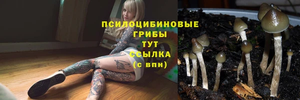 мяу мяу кристалл Костерёво
