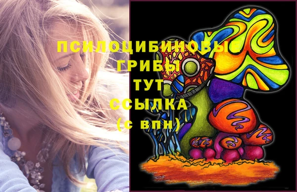 jwh Абаза